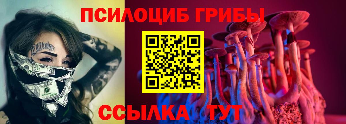 Галлюциногенные грибы мицелий  Вход с VPN  Кунгур 